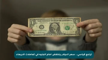 تراجع قياسي.. سعر الدولار ينخفض أمام الجنيه في تعاملات الأربعاء